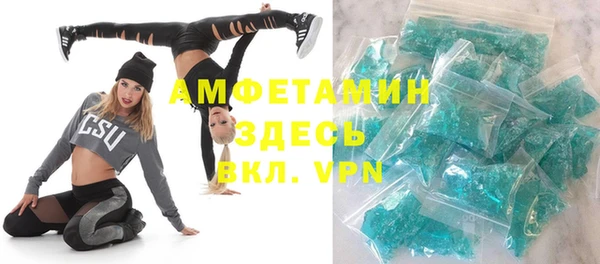 прущие грибы Михайлов