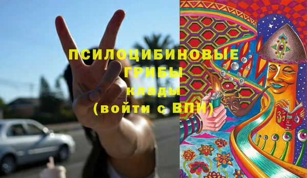 прущие грибы Михайлов