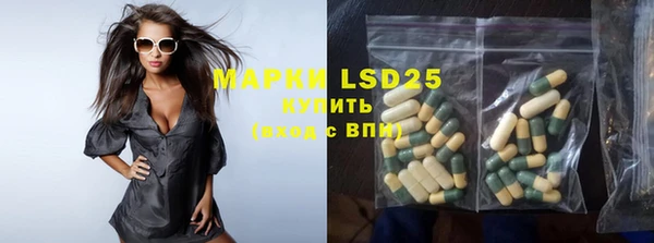 прущие грибы Михайлов
