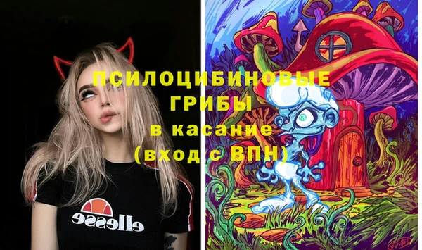 прущие грибы Михайлов
