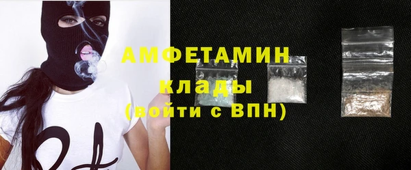 прущие грибы Михайлов