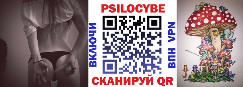 где можно купить наркотик  Тайга  Псилоцибиновые грибы Cubensis 